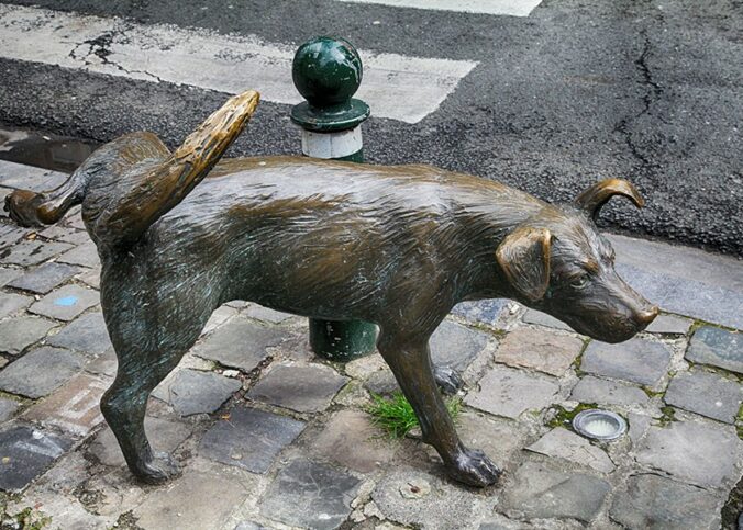 домашние животные, писающая собака в Брюсселе, памятник.